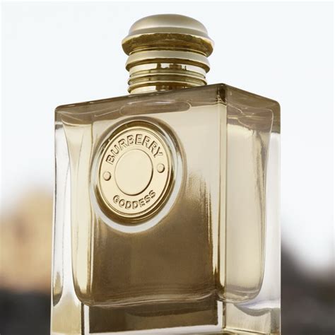 giorgio de burberry parfum|burberry goddess macy's.